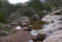 Creek along Dutchman Trail