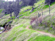 A typical section of the trail