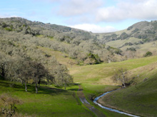 A creek on the road to Uvas Canyon, west of Morgan Hill