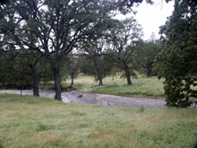 Cholame Creek north of town
