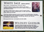 White Sage; Wildlife Guzzler
