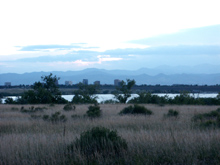 Looking west at Denver from Cherry Creek State Park