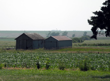 Barns next to the marker area
