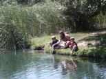 Mikie, Edie & Zack at the pond