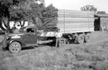 Marion (Molly) Merrill, 1937 Chevy truck, 1938