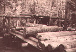 Log rollway