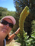 Jennifer & the mullein from Star Trek