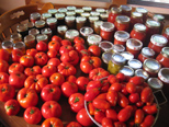 Martha's 2014 tomato crop, partly canned