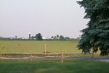 Fulton County farmland