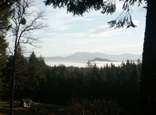 Fog in the   Illinois  Valley , from Don & Diana Hall home,   Oregon 