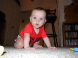 Learning to crawl