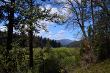 Wawona Meadow from the upper (south) end of the trail