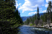 The South Fork of the Merced River from the bridge